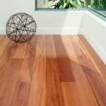 Sydney-Blue-gum-537x750
